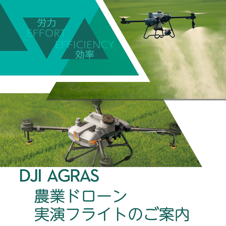 デモフライトご案内